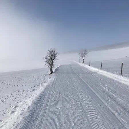 Ferienhaus Fichte Дом отдыха