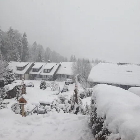 Ferienhaus Fichte Дом отдыха *